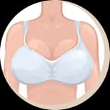 Large Bust